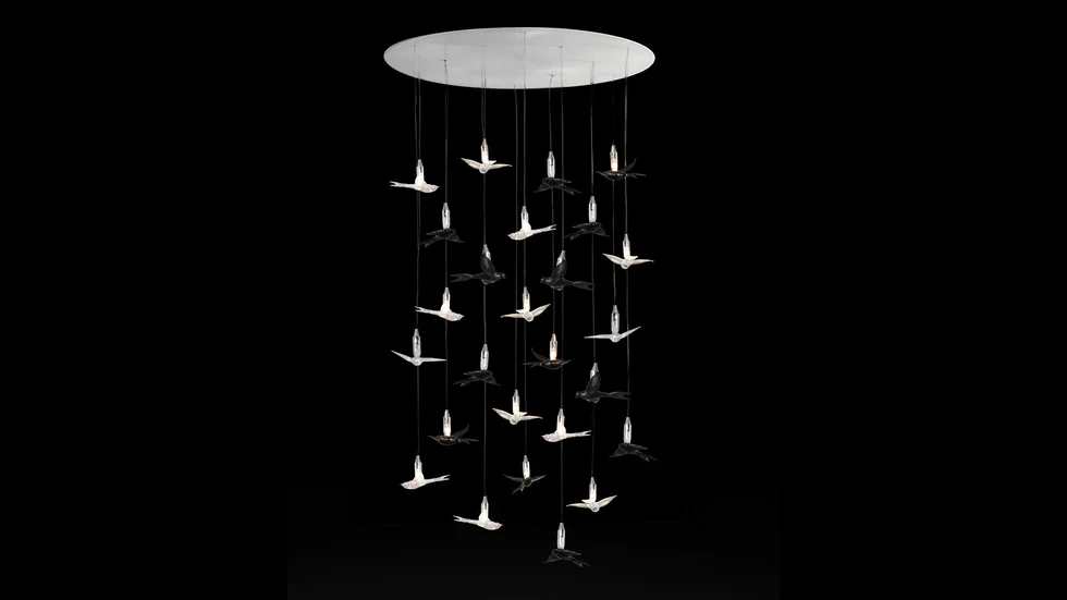 Birds Avize